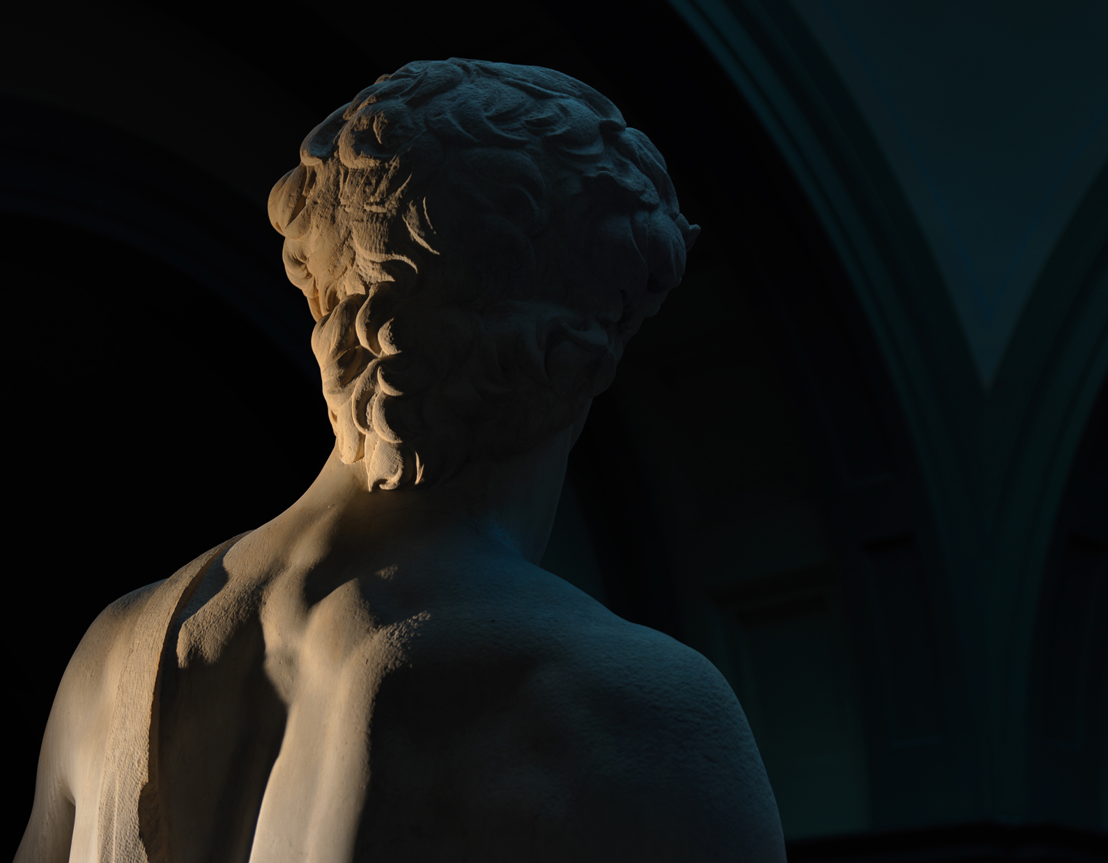 Il David di Michelangelo Galleria dell'Accademia di Firenze