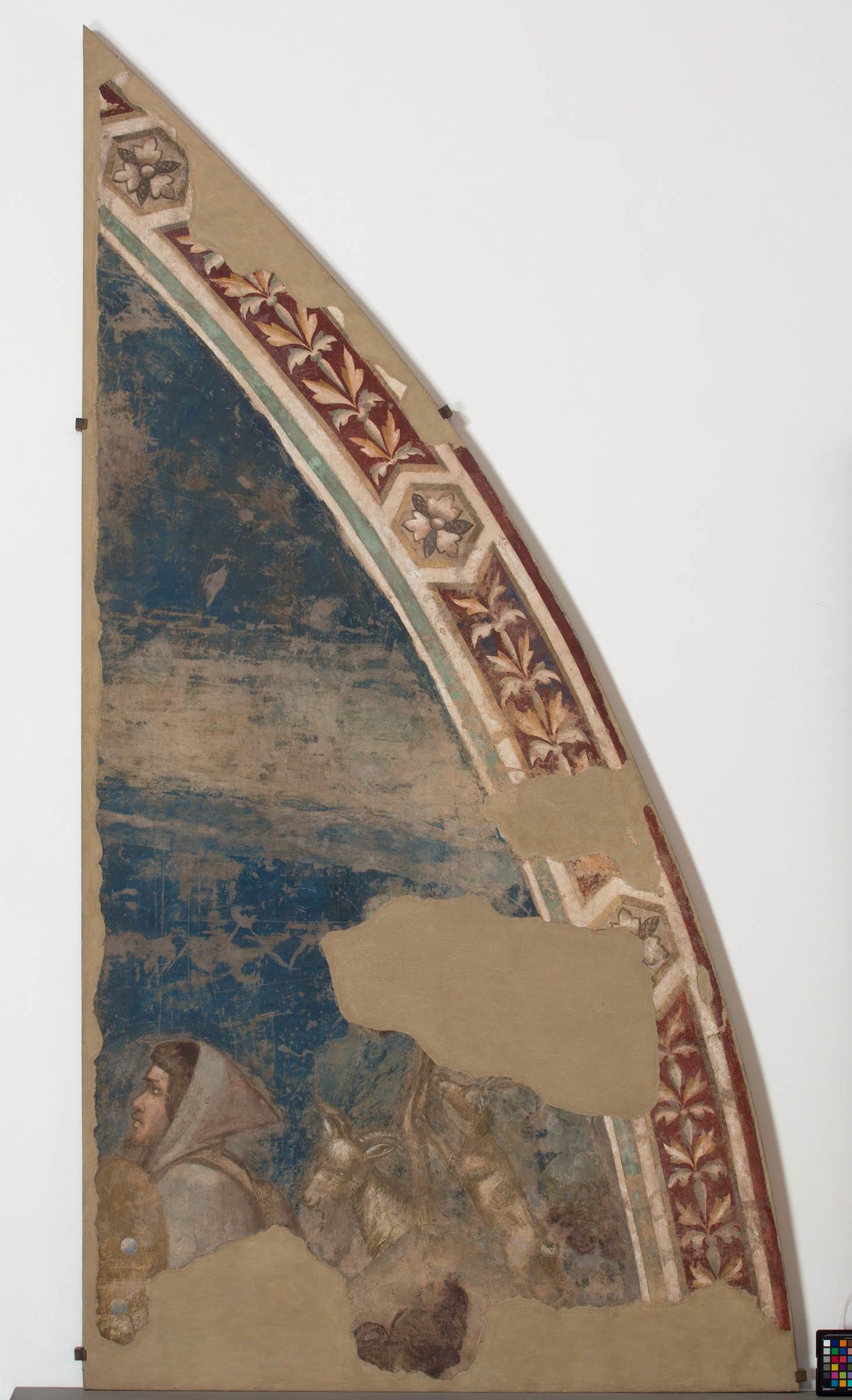 Giotto di Bondone, Testa di pastore e armenti