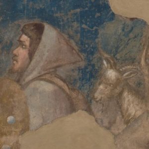 Giotto di Bondone, Testa di pastore e armenti