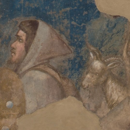 Giotto di Bondone, Testa di pastore e armenti