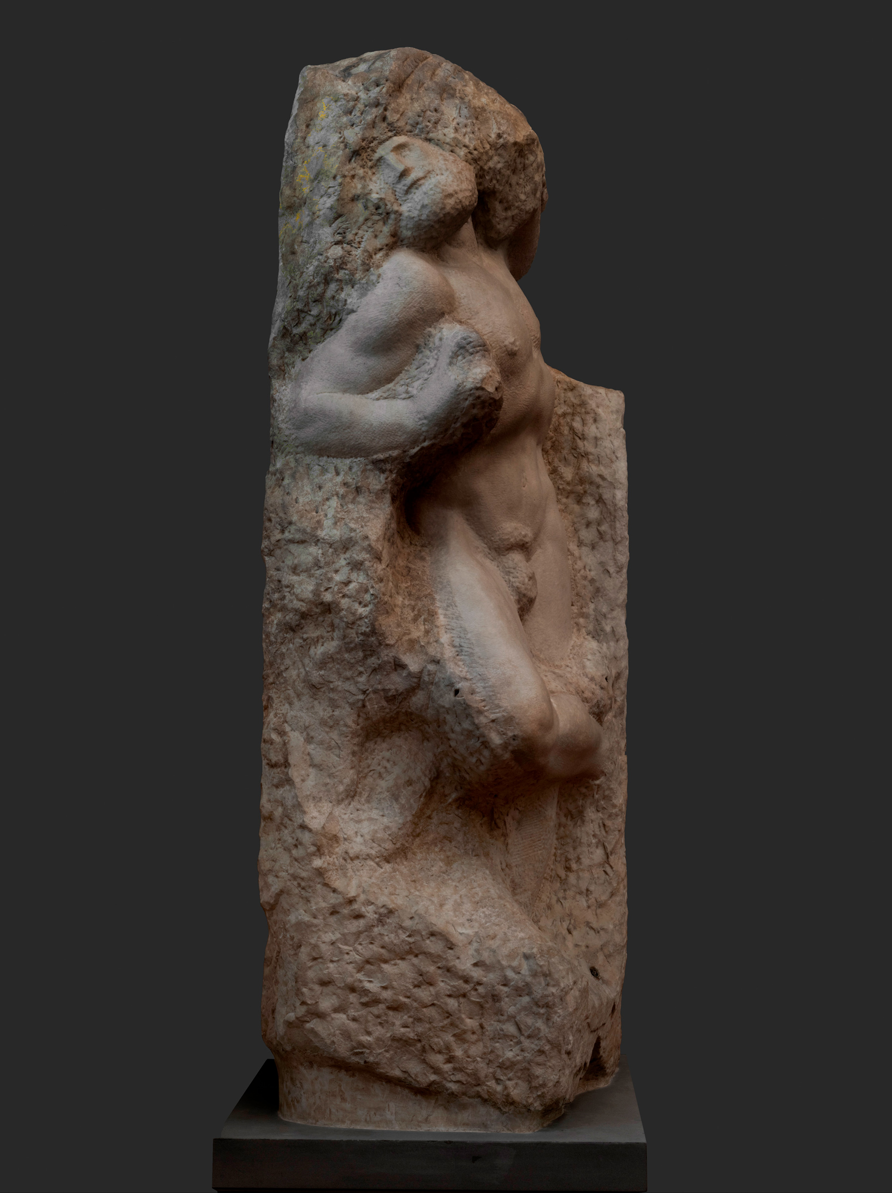 Michelangelo, Prigioni, Schiavo che si ridesta